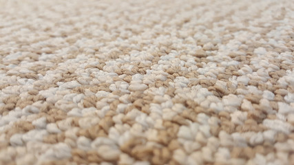 Carpet: Eggshell White Close Up Shot