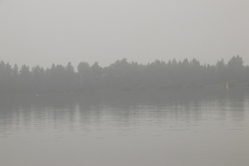 atmospheric scene in a light misty landscape