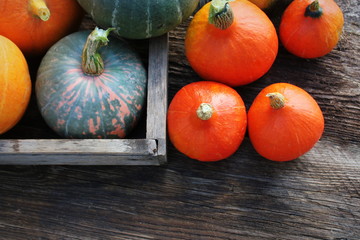 Autumn pumpkin Thanksgiving background concept . Orange and green pumpkins in wooden box on rustic table