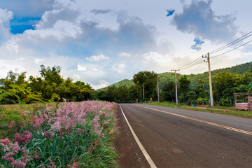 Fototapeta premium Rural roads are cultivated on two sides of the road, are arched and high hills and low hills.