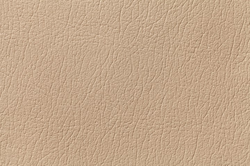 Beige leather texture background with pattern, closeup