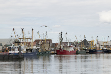 Boats are mooring in the harbor