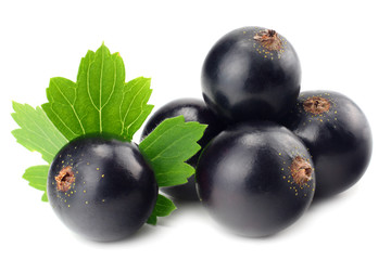 black currant with green leaf isolated on white background. macro