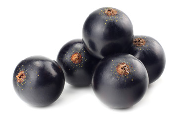 black currant isolated on white background. macro