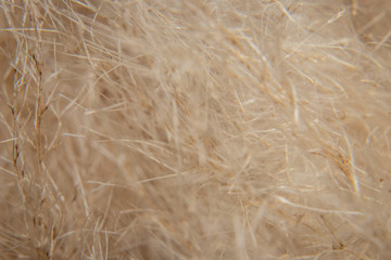 textura