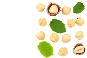 hazelnuts with leaves isolated on white background. top view