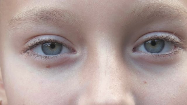 Teenager with gray eyes looking in camera closeup. Children face with gray eyes