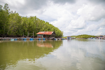 Fototapeta premium An evening at a lake with mountains background, phuket , Thailand