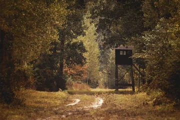 Photo sur Aluminium Chasser Nature d& 39 automne avec une tour de chasse sur un champ