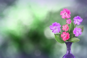 Beautiful live petunia bouquet bouquet in ceramic vase with blank place for your text on left on natural leaves and sky blurred bokeh background.
