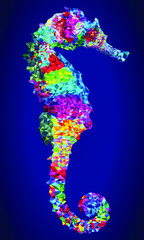Low polygon style colorful seahorse
