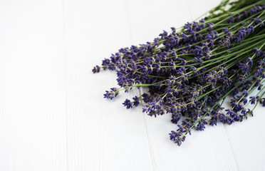 fresh lavender flowers