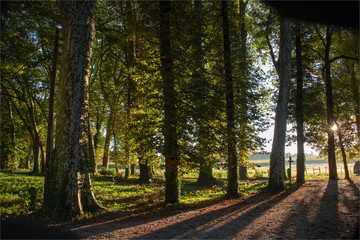 contre-jour au château de Fléchères dans le Rhône en France