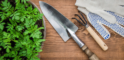 Small garden tools for planting seedlings.