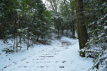 Park in winter, stairs covered with snow
