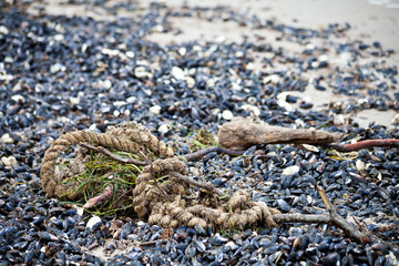 am Strand