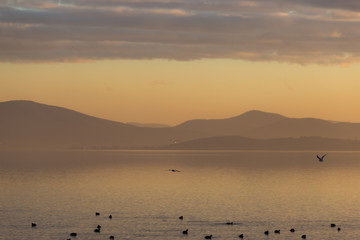 Beautiful view of a lake at sunset, with orange tones and birds flying and on water