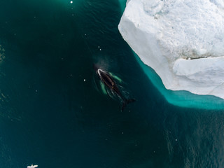 Grönland | Luftaufnahme