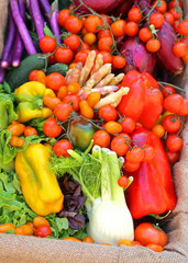many fresh fruits and vegetables for sale
