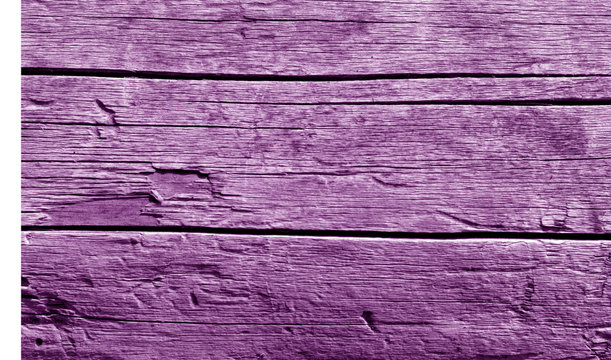 Old wooden wall in purple tone.