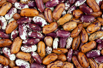 Haricot bean close background with high resolution