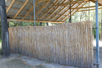 wall of reed mats