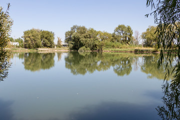 Fototapeta na wymiar clean lake for fishing