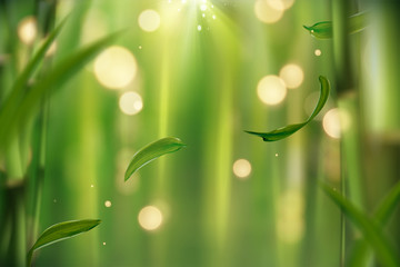 Tranquil bamboo forest background