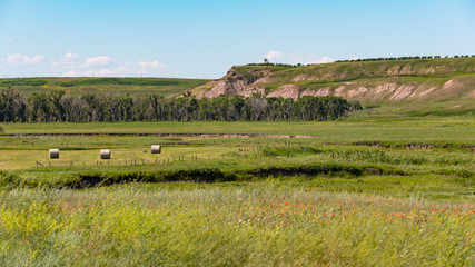 Obraz premium Alberta Farmland