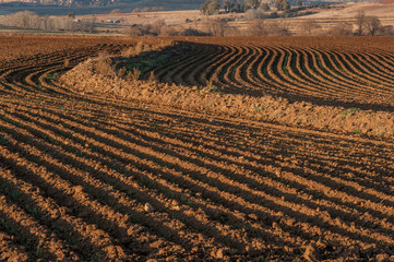 Plowed fields patterns