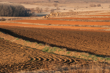 Plowed fields patterns