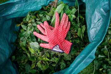 Red Gardening Gloves on Piled Leaves Stuffed into a Large Green Garden Waste Bag