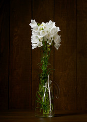 white flower in a vase on dark wood background