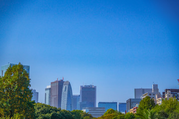 Fototapeta premium 東京 東京駅 方面 ビル群 