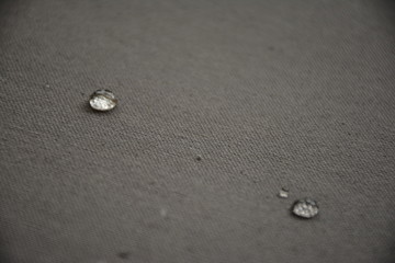 Red roses on grey background