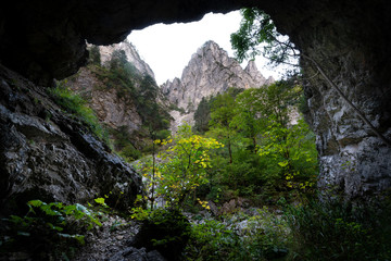 Ausblick aus der Gamsluckenhöhle
