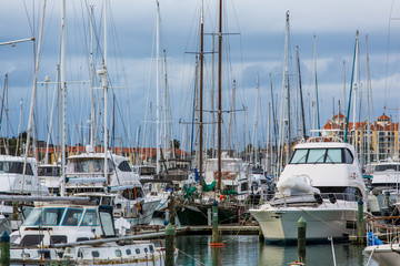 yachts in the marina