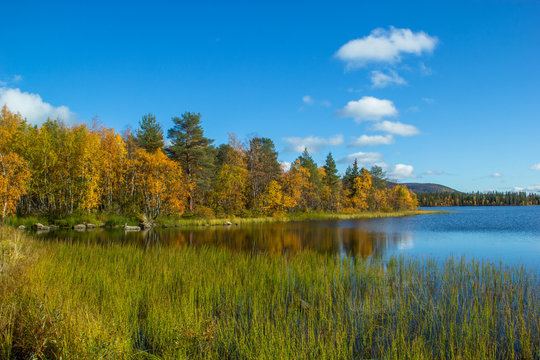 Wilderness of Muonio