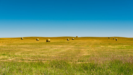 Fototapeta premium Rural Farmland