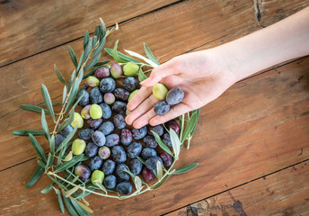 Olives on olive branch. Wooden table with olives