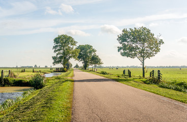 Fototapeta na wymiar Typical Dutch polder landscape in the Dutch region Alblasserwaard