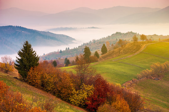 gorgeous mountainous countryside at sunrise. beautiful rural area. distant valley full of fog