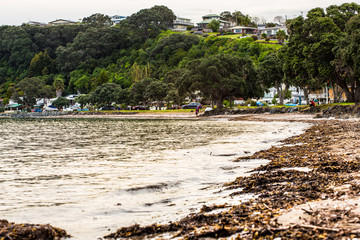Matakatia beach - Whangaparaoa Peninsula