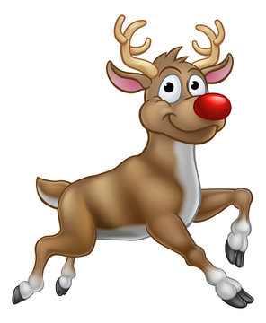 A reindeer Christmas red nosed cartoon character illustration 