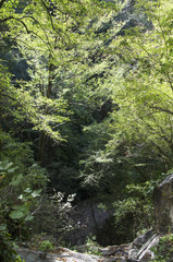 Mamed gorge on the Black Sea coast of Russia