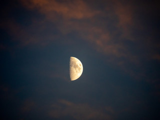 Mond