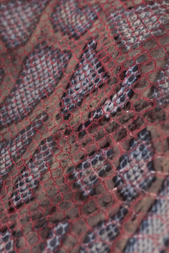 19 Best 蛇柄 Images Stock Photos Vectors Adobe Stock