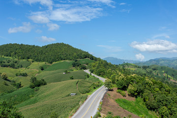Corn farm on hill with blue sky and sunset background