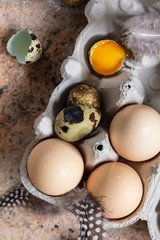 Chicken and quail eggs in container with feathers, top view, vertical composition