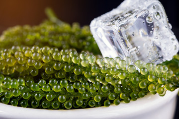 Sea grapes ( green caviar ) seaweed,